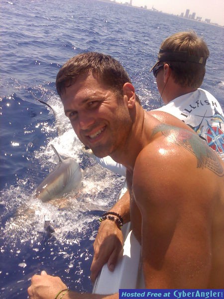 tony shark3