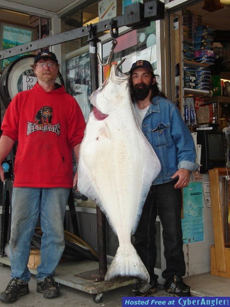 Halibut Douglas Channel Kitimat BC