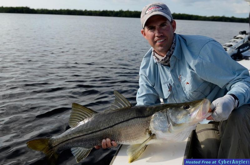 BC_snook
