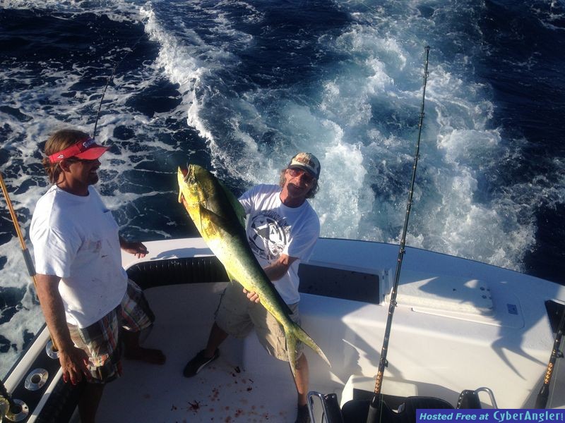 Good Day of Mahi-Mahi Fishing