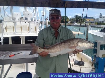 Click to Enlarge Photo