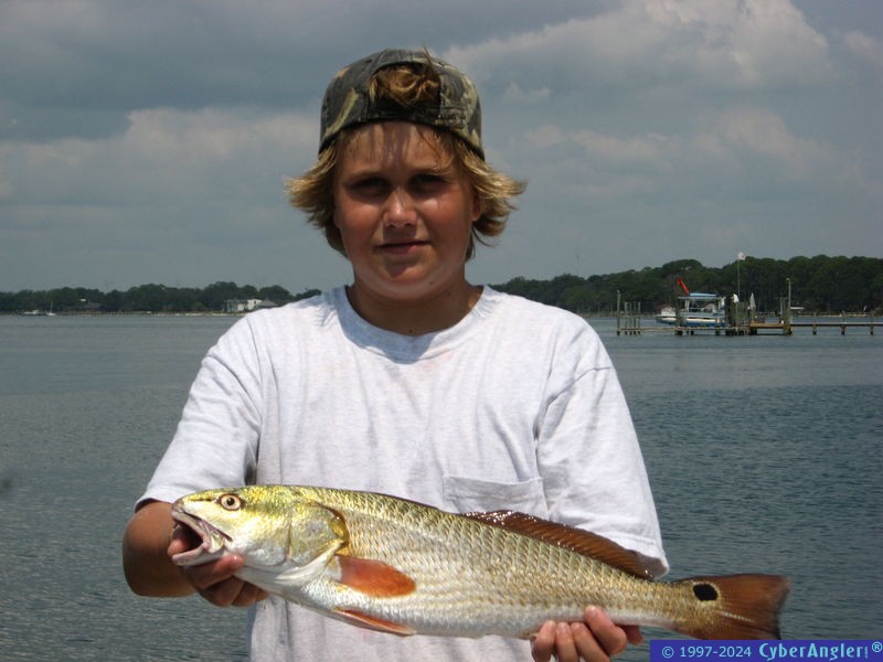 CAZ'S REDFISH