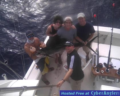 Sailfish