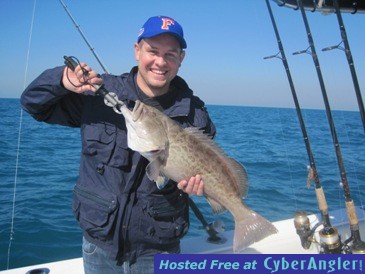 27-inch, 11-lb gag grouper