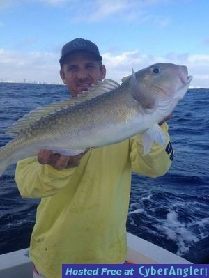 Click to Enlarge Photo