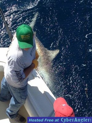 Click to Enlarge Photo