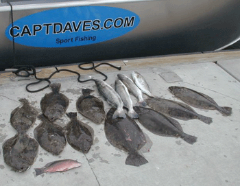 www.captdaves.com