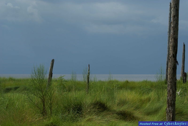 Deer Island Looking South
