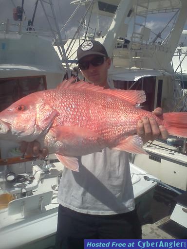18 bl snapper
