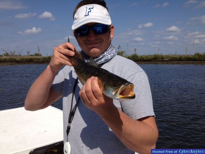 Trout on DOA CAL