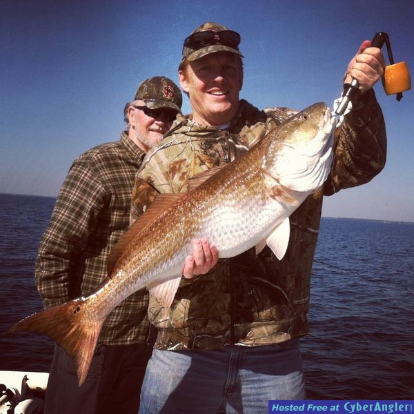 Destin Bull Redfish