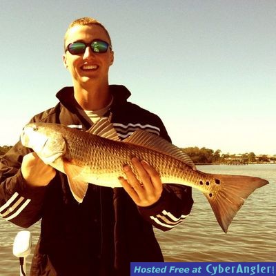 Click to Enlarge Photo