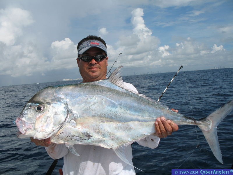 African Pompano