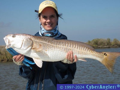 Click to Enlarge Photo