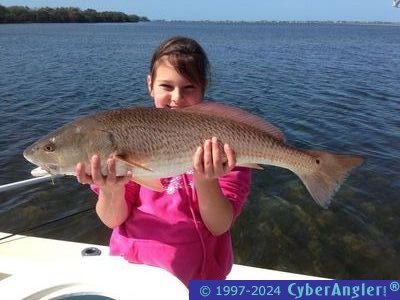 Click to Enlarge Photo