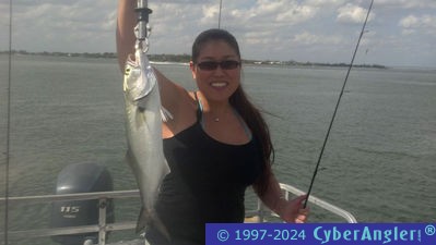 Click to Enlarge Photo