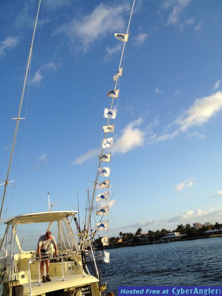 1 blue and 13 sails