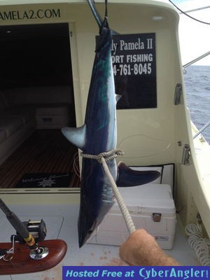 Click to Enlarge Photo