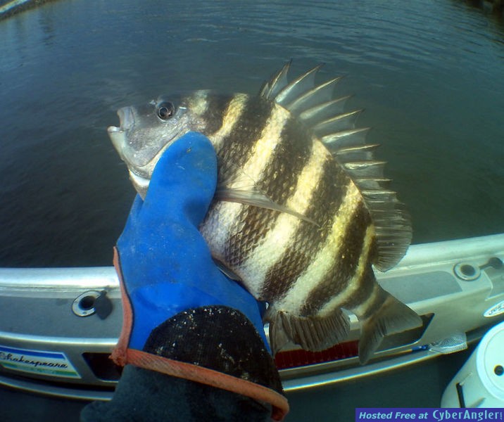 Jacksonville Fishing