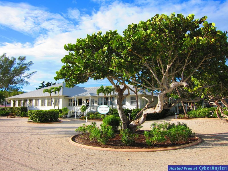 Angling Adventures at the Island Inn