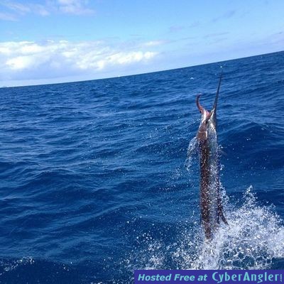 Click to Enlarge Photo