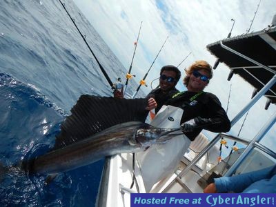 Big Atlantic Sailfish