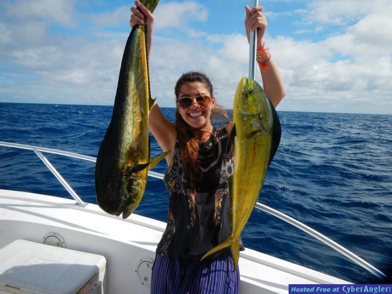 Pair of Mahi