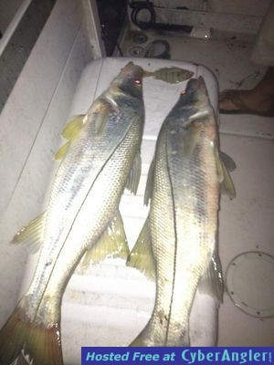 Click to Enlarge Photo