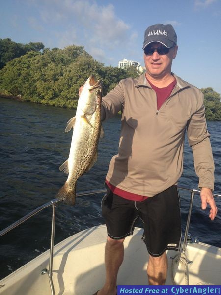 Slob Seatrout