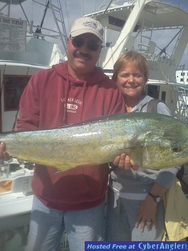 Mahi Mahi Rick
