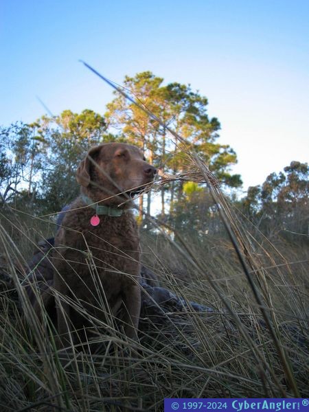 Gunner