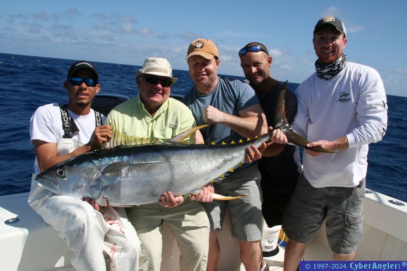 Miami Yellowfin Tuna