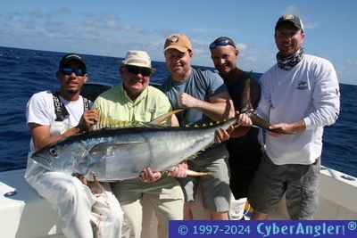 Miami Yellowfin Tuna