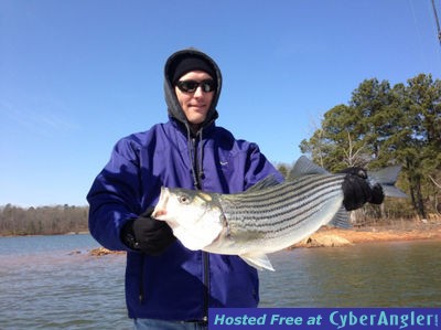 Click to Enlarge Photo