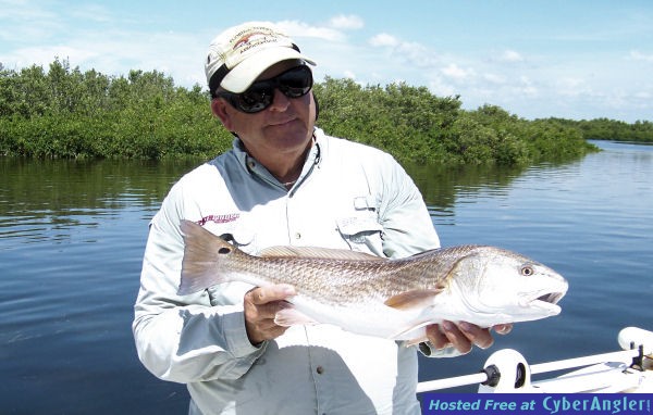 Homosassa Redfish