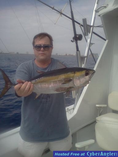 dave tuna