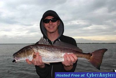 Click to Enlarge Photo