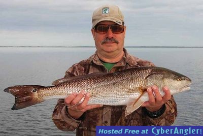 Click to Enlarge Photo