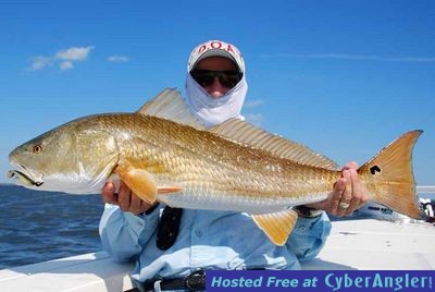 Click to Enlarge Photo