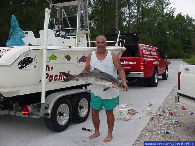 25 lb (Baby) Cobia