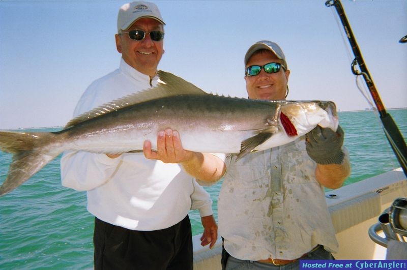 NICE COBIA
