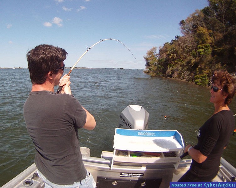 www.captdaves.com