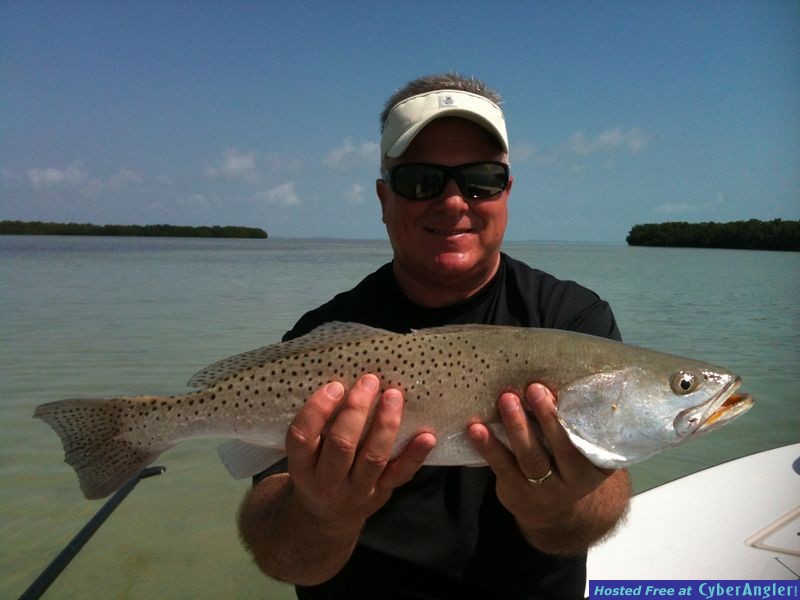 Trout fishing in the everglades