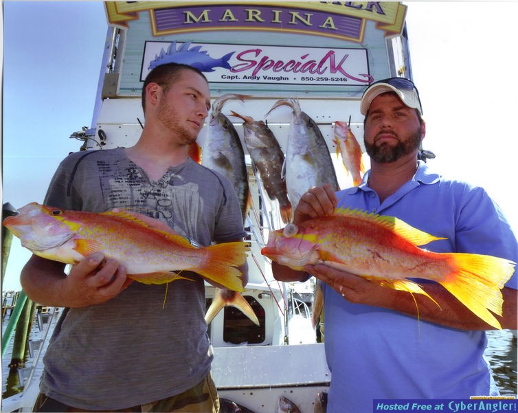 Queen Snapper