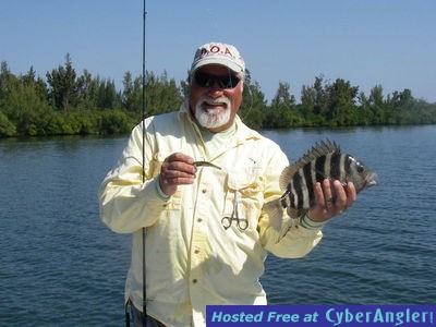 Doa Sheepshead