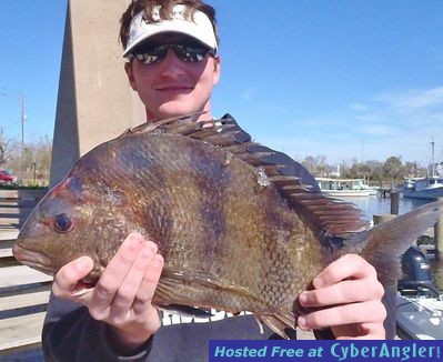 Click to Enlarge Photo