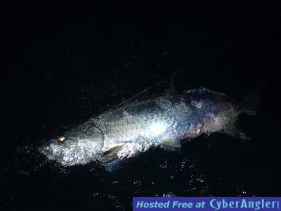 Click to Enlarge Photo