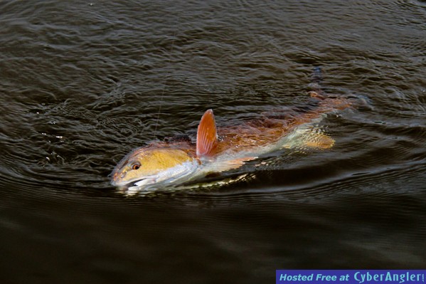 6-12-fishing-_7-of-8_