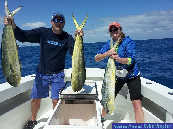 mahi7