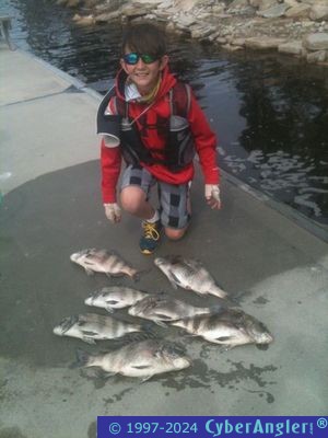 Click to Enlarge Photo